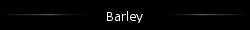 Barley