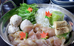 比内地鶏の水炊き鍋