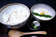 麦とろご飯